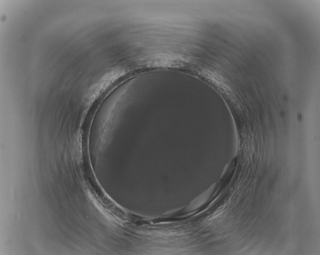 X0000063500678200601231438