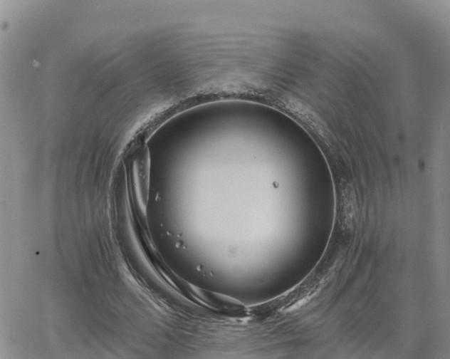 X0000063500680200601231438