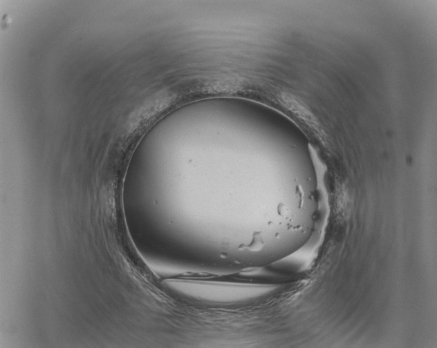 X0000063500681200601231438