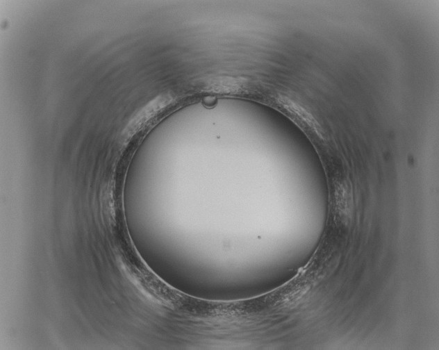 X0000063500682200601231438