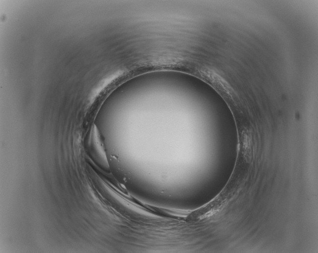 X0000063500684200601231438