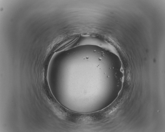 X0000063500685200601231437