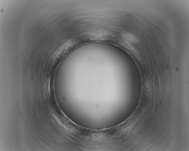 X0000063500686200601231437