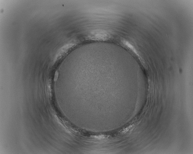 X0000063500688200601231437