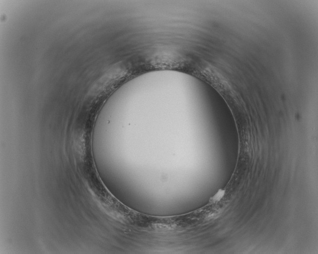 X0000063500690200601231437