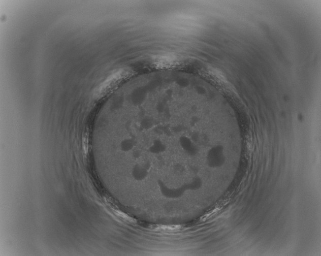 X0000063500691200601231437