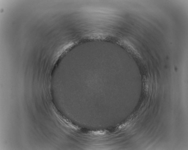 X0000063500692200601231437