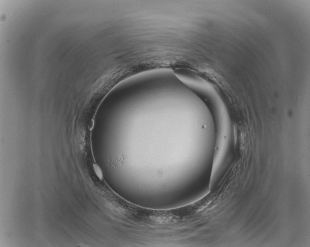 X0000063500693200601231437