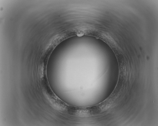 X0000063500694200601231437