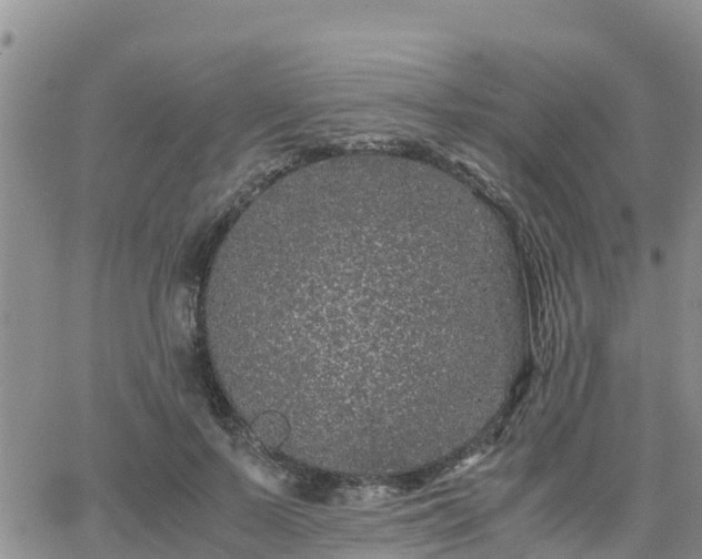 X0000063500695200601231437