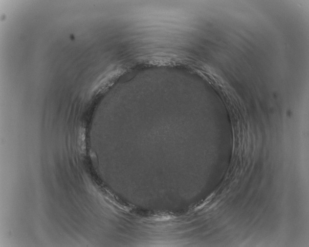 X0000063500696200601231437