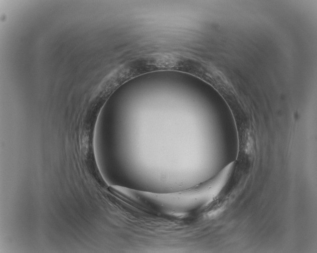 X0000063500697200601231437