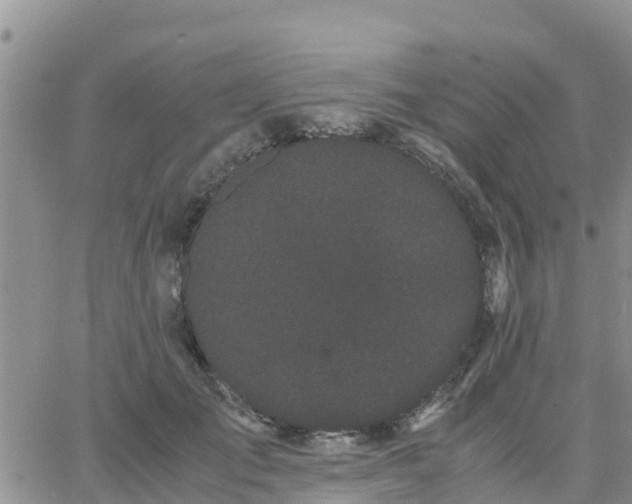 X0000063500701200601231437