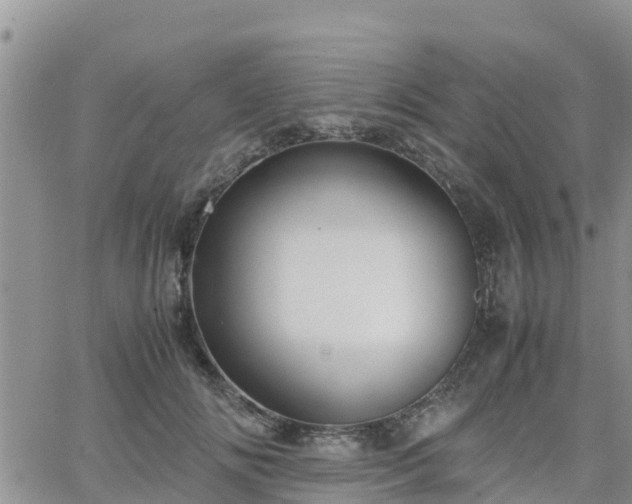 X0000063500702200601231437