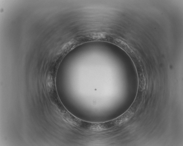 X0000063500704200601231437