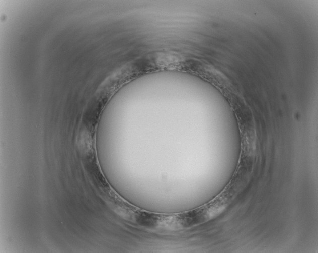 X0000063500705200601231437