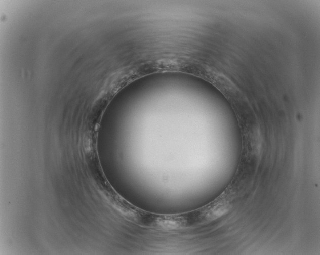 X0000063500706200601231437