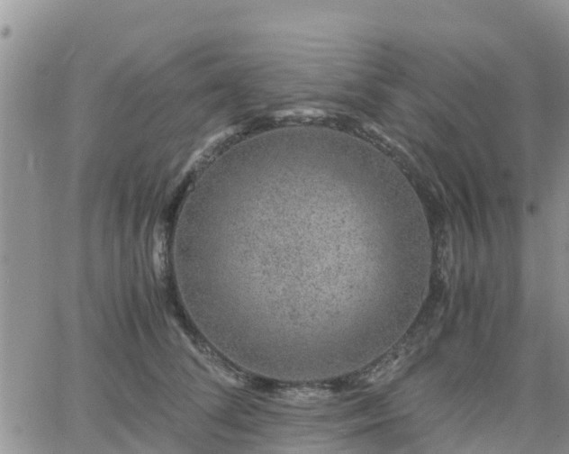 X0000063500708200601231437