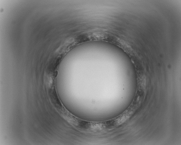 X0000063500709200601231437