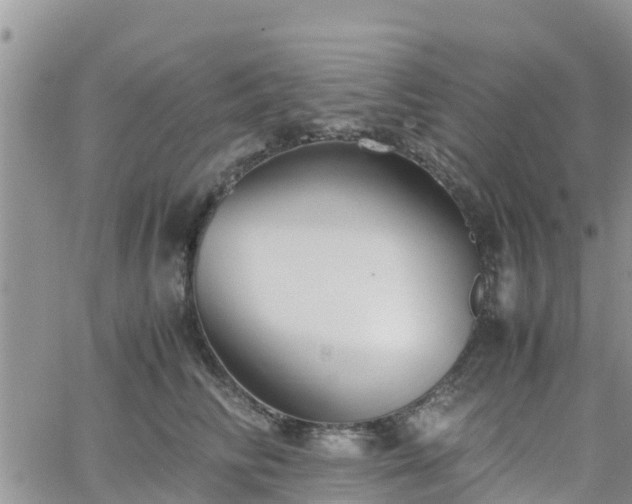 X0000063500710200601231437