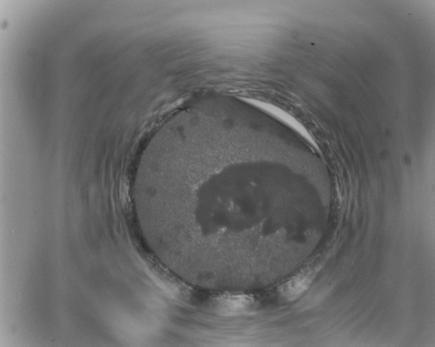 X0000063500711200601231437