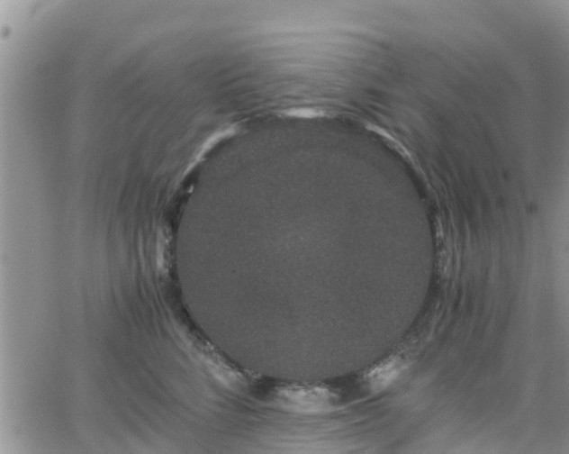 X0000063500712200601231437