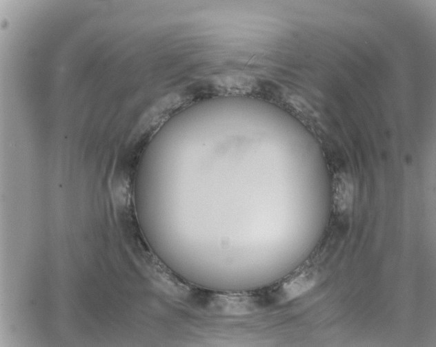 X0000063500713200601231437