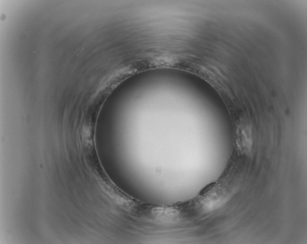 X0000063500714200601231437