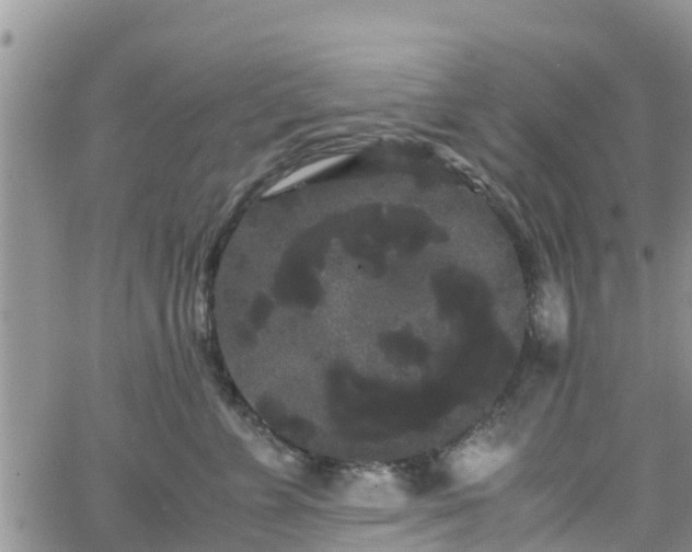 X0000063500715200601231437