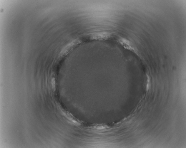 X0000063500716200601231437