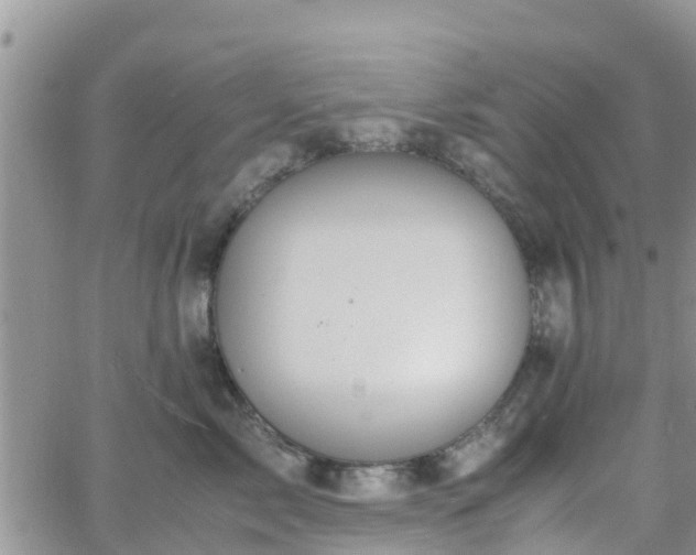 X0000063500717200601231437