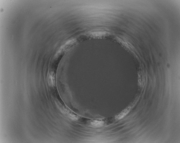 X0000063500718200601231437