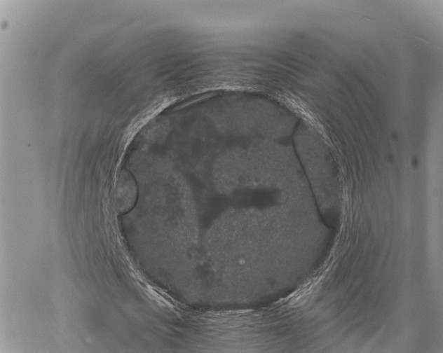 X0000063500721200601231436