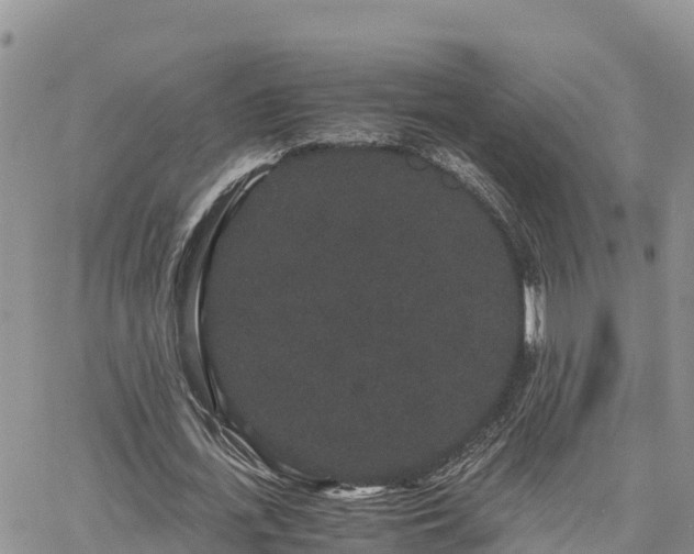 X0000063500723200601231436