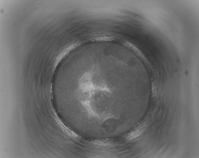 X0000063500725200601231436