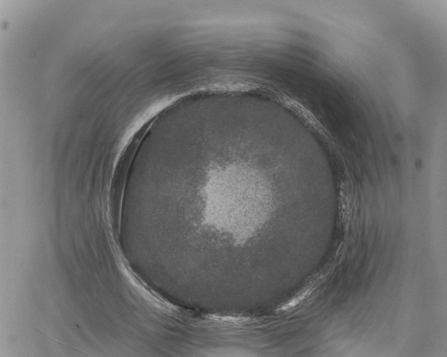 X0000063500726200601231436