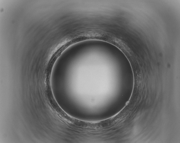 X0000063500727200601231436