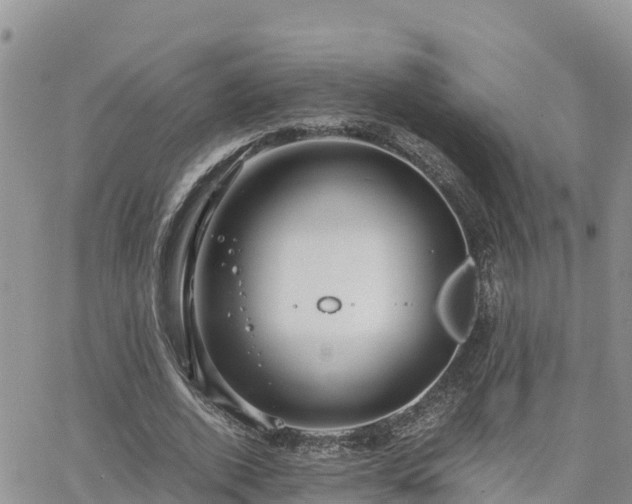 X0000063500728200601231436