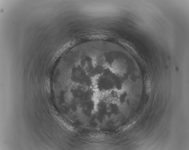 X0000063500729200601231436