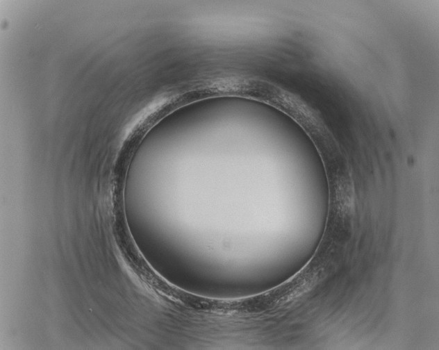 X0000063500730200601231436