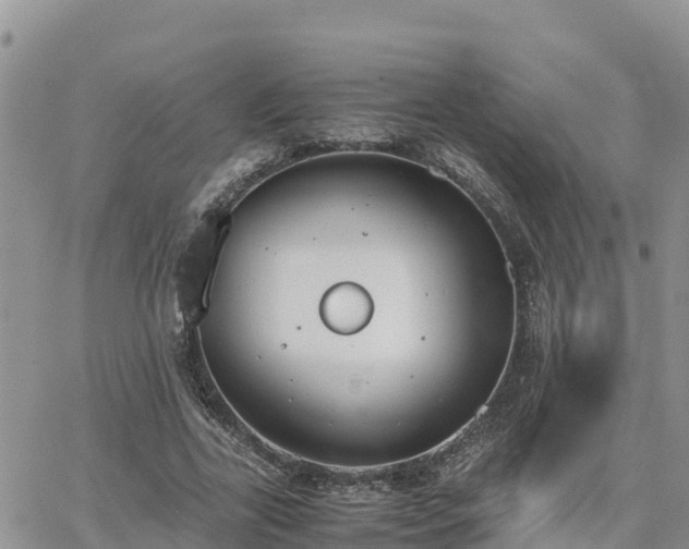 X0000063500731200601231436