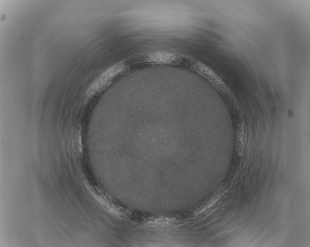 X0000063500734200601231436