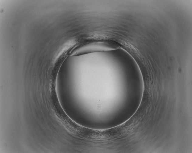 X0000063500735200601231436