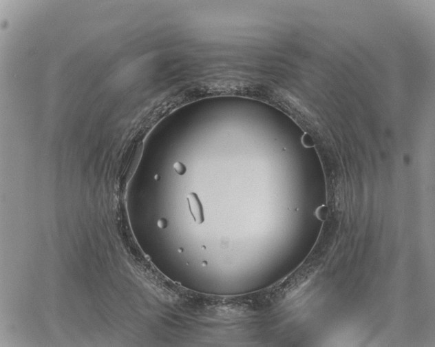 X0000063500737200601231436