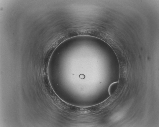 X0000063500746200601231437