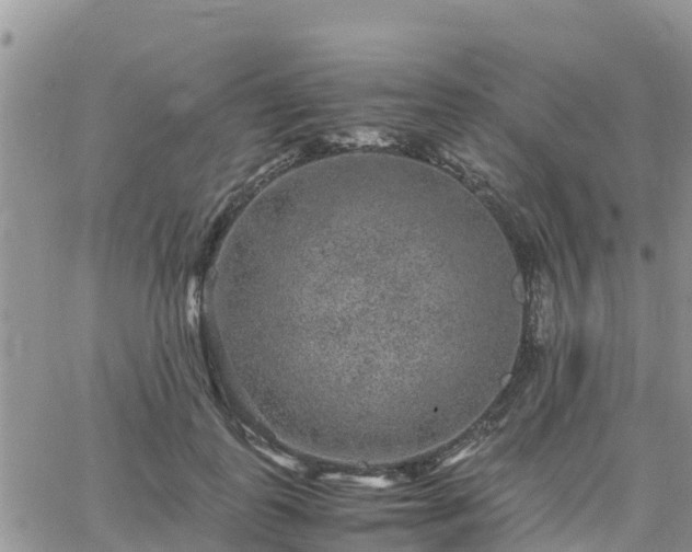 X0000063500747200601231437