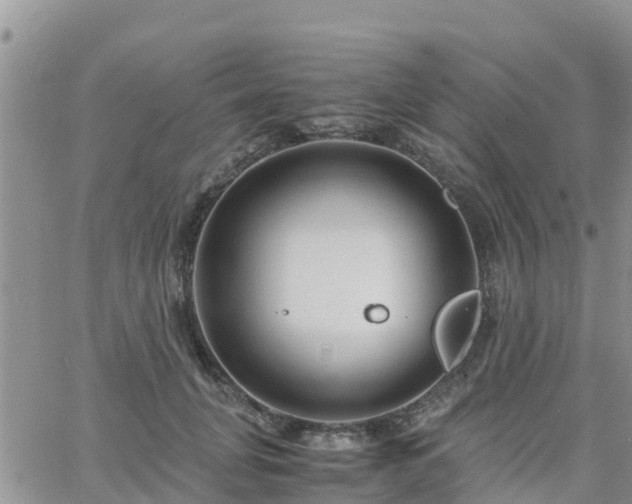 X0000063500751200601231437