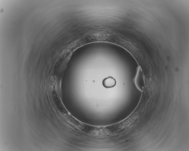 X0000063500752200601231437