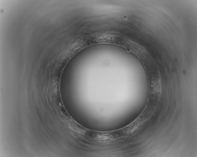 X0000063500753200601231437