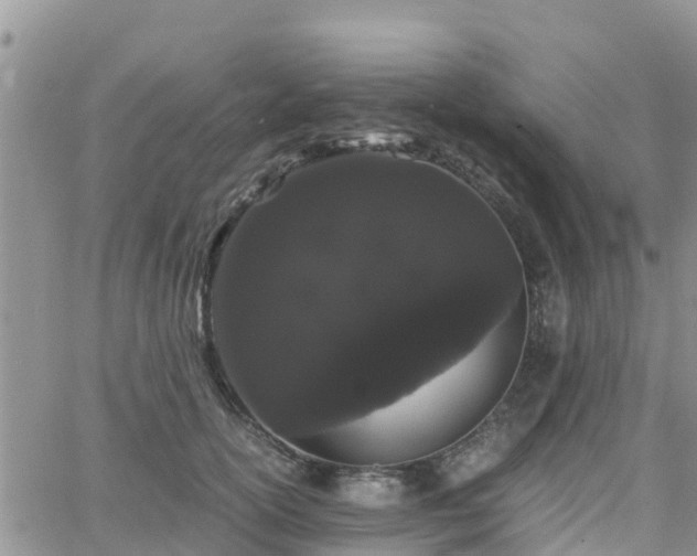 X0000063500754200601231437